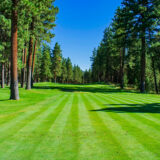 Lake Tahoe Golf Course