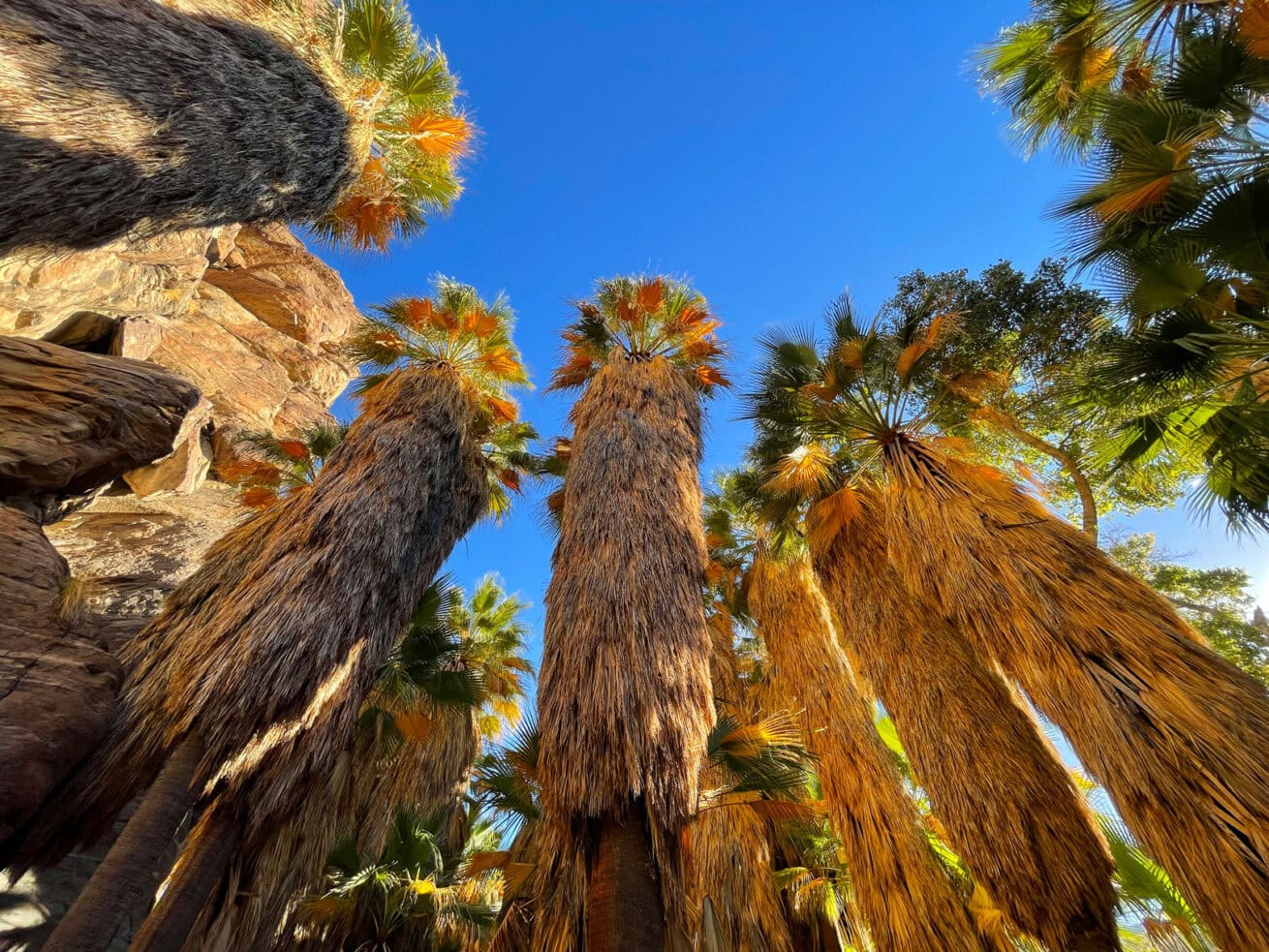Palm-Springs-Oasis_Mr.-Location-Scout_1