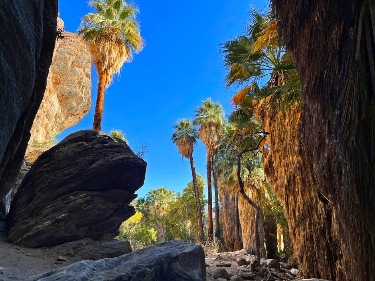 Palm-Springs-Oasis_Mr.-Location-Scout_2