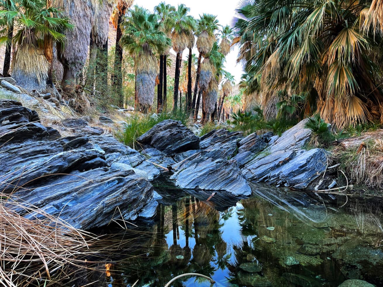 Palm-Springs-Oasis_Mr.-Location-Scout_4