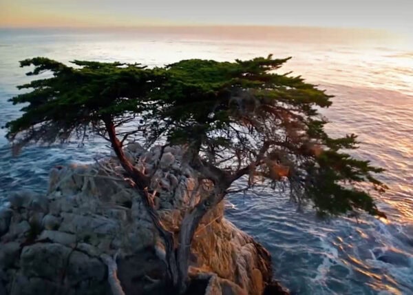 Pebble-Beach_Mr.-Location-Scout