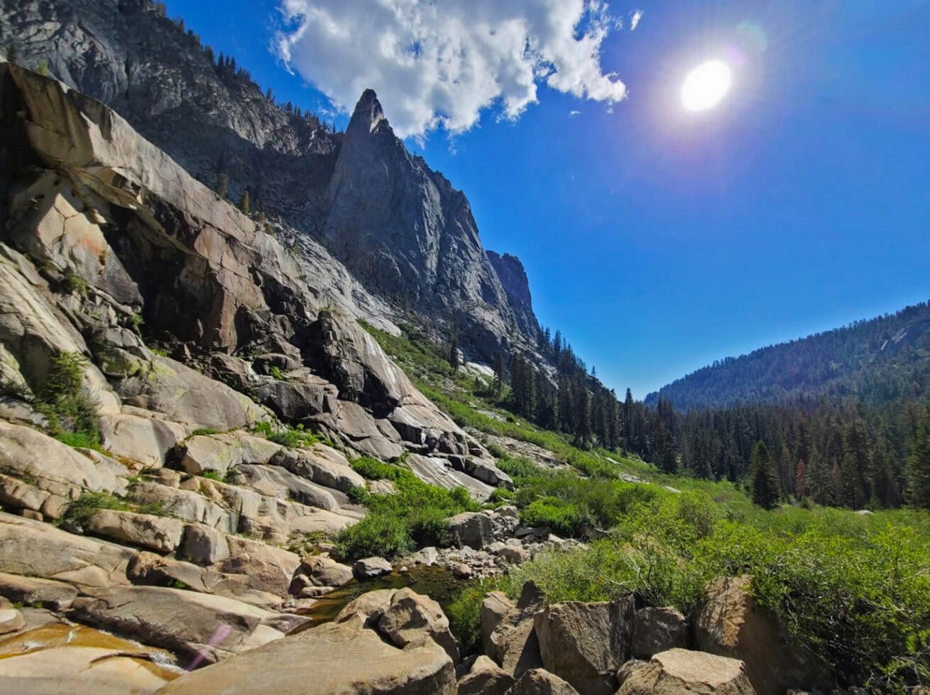 Sequoias_Mr.-Location-Scout_9