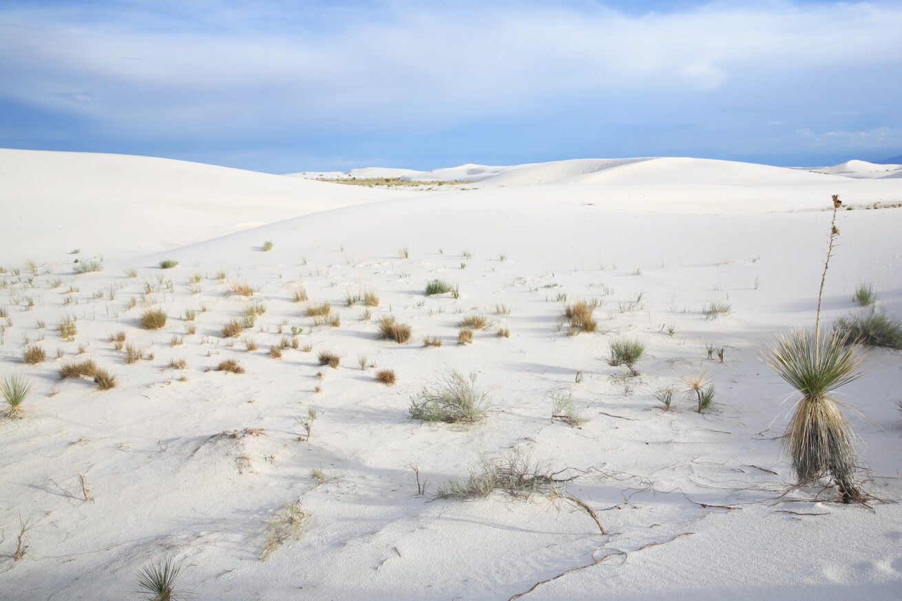 White Sands